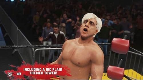 WWE 2K19 (VG)