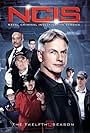 NCIS: Season 12 - #1 Drama in the World (2015)