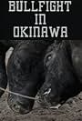 Bullfight in Okinawa (1994)