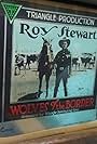 Roy Stewart in Wolves of the Border (1918)