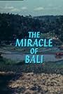 The Miracle of Bali (1969)