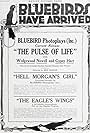 The Pulse of Life (1917)