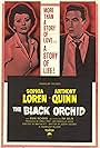 Sophia Loren and Anthony Quinn in The Black Orchid (1958)