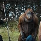 Peter Macon, Owen Teague, and Freya Allan in Kingdom of the Planet of the Apes (2024)