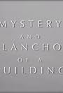 Mystery and Melancholy of a Building (2013)