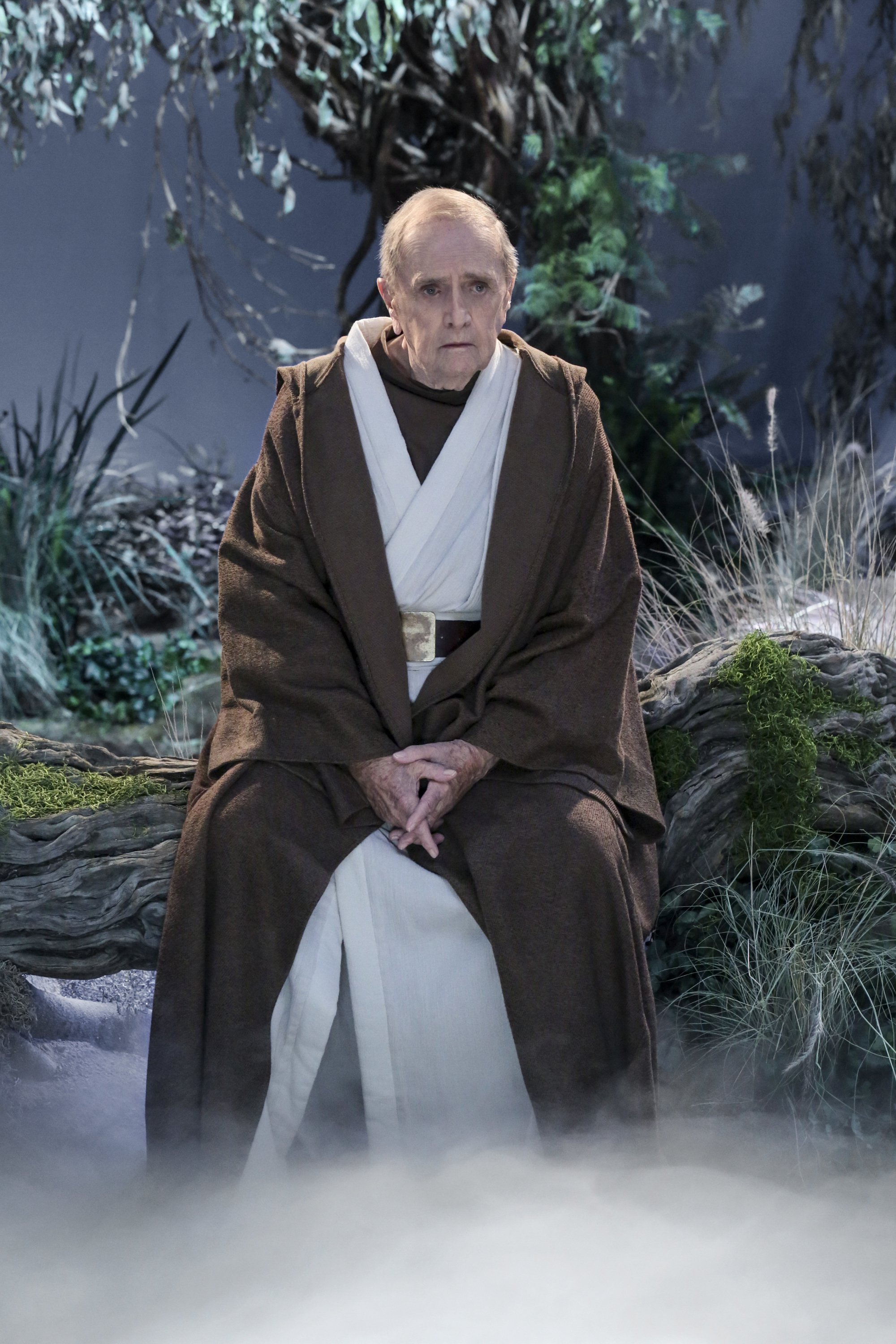 Bob Newhart in The Big Bang Theory (2007)