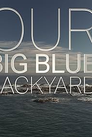 Our Big Blue Backyard (2014)