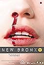 New Bronx (2017)