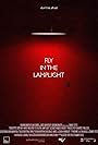 Fly in the Lamplight (2017)