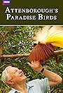 Attenborough's Paradise Birds (2015)