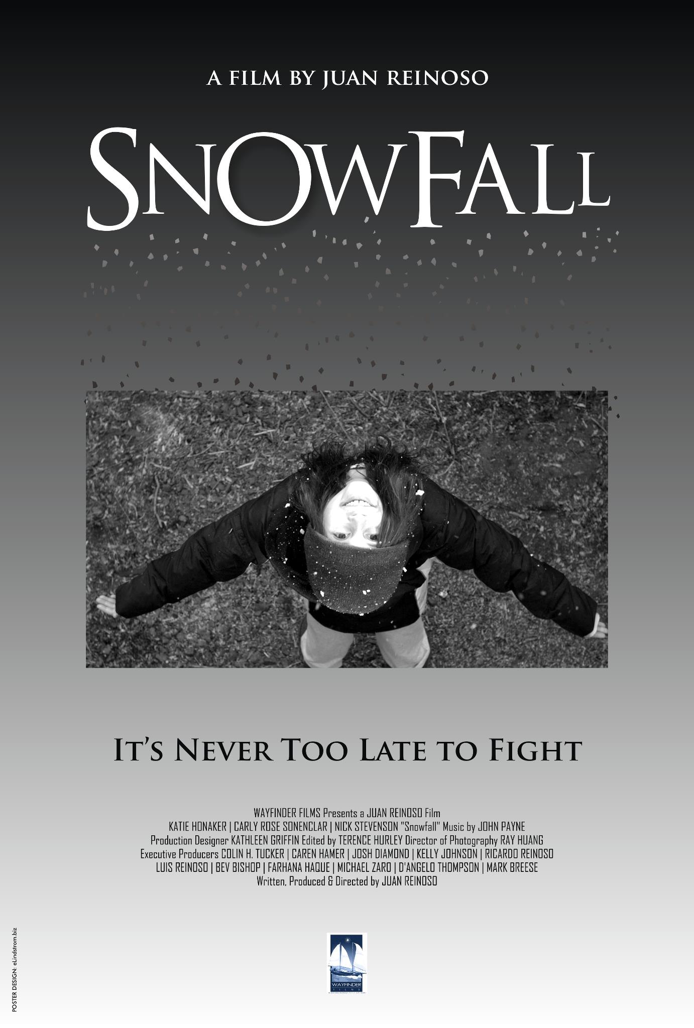 Snowfall (2009)