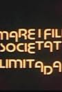 Mare i fill, societat limitada (1980)