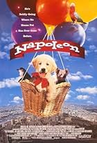 Napoleon (1995)