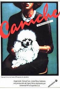 Primary photo for Caniche