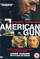 American Gun (2002)