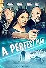 William Forsythe, Carlo Rota, and Kathleen Munroe in A Perfect Plan (2020)