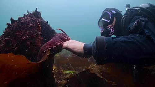 Octopuses are like aliens on Earth: three hearts, blue blood and the ability to squeeze through a space the size of their eyeballs, but the secrets of the octopus are more extraordinary than we ever imagined.