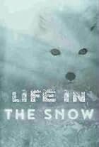 Life in the Snow (2016)