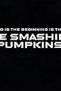 The Smashing Pumpkins: The End Is the Beginning Is the End (1997)