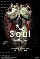 Soul (2013)