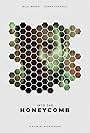 Into the Honeycomb (2020)