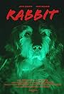 Chuy the Golden Retriever in Rabbit (2024)