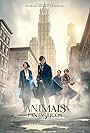 Animais Fantásticos e Onde Habitam (2016)