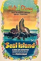 Seal Island