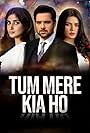 Tum Mere Kya Ho (2015)