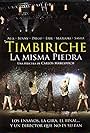 Timbiriche: La misma piedra (2008)