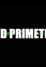 PWD Primetime (2008)