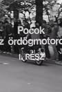 Pocok, az ördögmotoros (1974)