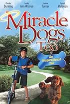 Miracle Dogs Too