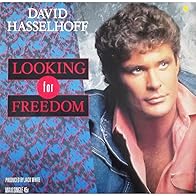 Primary photo for David Hasselhoff: Looking for Freedom