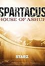 Spartacus: House of Ashur