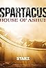 Spartacus: House of Ashur (TV Mini Series) Poster