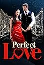 Perfect Love (2023)