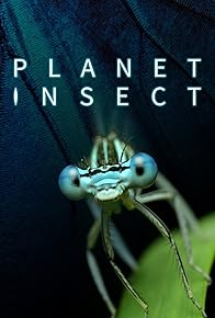 Primary photo for Planet Insect