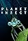 Planet Insect's primary photo