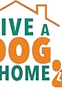 Give A Dog A Home Live! (2019)