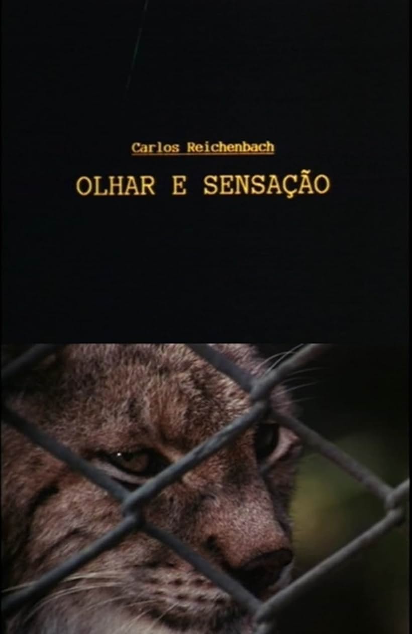 Olhar e Sensação (1994)