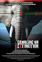 Gambling on Extinction