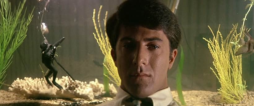 Dustin Hoffman in The Graduate (1967)