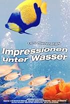 Impressionen unter Wasser (2002)