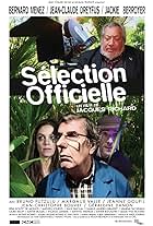 Sélection officielle (2017)