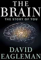 The Brain with Dr. David Eagleman (2015)