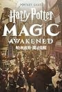 Harry Potter: Magic Awakened (2023)