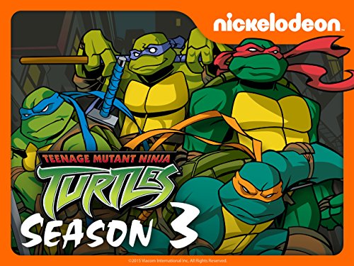 Teenage Mutant Ninja Turtles (2003)