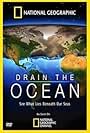 Drain the Ocean (2009)