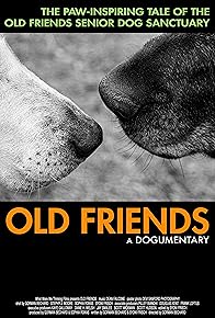 Primary photo for Old Friends, A Dogumentary